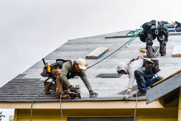 Professional Gutter Installation technician working in Westmoreland, TN